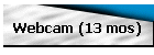 Webcam (13 mos)